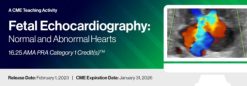 2023 Fetal Echocardiography Normal and Abnormal Hearts A Video CME Teaching Activity