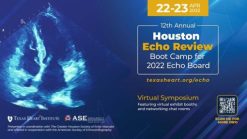 Echo Review Boot Camp for Echo Board