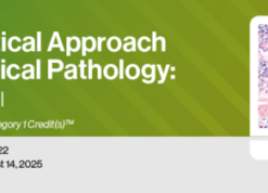 2022 A Practical Approach to Surgical Pathology Volume VIII (CME VIDEOS)