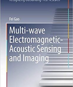 Multi-wave Electromagnetic-Acoustic Sensing and Imaging (Springer Theses) 1st ed. 2017 Edition