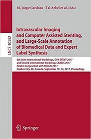 Intravascular Imaging and Computer Assisted Stenting, and Large-Scale Annotation of Biomedical Data and Expert Label Synthesis (Lecture Notes in Computer Science) Paperback – October 13, 2017