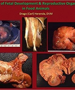 Colour Atlas of Fetal Development & Reproductive Organ Pathology in Food Animals