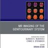 MRI of the Genitourinary System, An Issue of Magnetic Resonance Imaging Clinics of North America (Volume 27-1) (The Clinics: Radiology (Volume 27-1)) 1st Edition