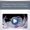 AIUM How to Perform a Detailed Anatomic Ultrasound Examination in the First Trimester (CME VIDEOS)