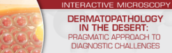 USCAP Dermatopathology in the Desert: Pragmatic Approach to Diagnostic Challenges 2022 (CME VIDEOS)