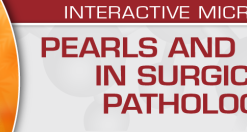 USCAP Pearls and Palms in Surgical Pathology 2022 (CME VIDEOS)