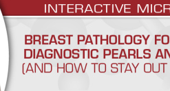 USCAP Breast Pathology for All Ages: Diagnostic Pearls and Pitfalls (And How to Stay Out of Trouble) 2022 (CME VIDEOS)