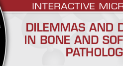 Dilemmas and Delights in Bone and Soft Tissue Pathology 2023