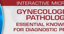 USCAP Gynecological Pathology 2022: Essential Knowledge for Diagnostic Practice (CME VIDEOS)