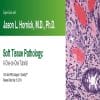 2019 Expert Series with Jason L. Hornick, M.D., Ph.D. Soft Tissue Pathology A One-On-One Tutorial (CME VIDEOS)