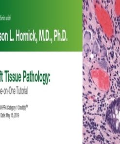 2019 Expert Series with Jason L. Hornick, M.D., Ph.D. Soft Tissue Pathology A One-On-One Tutorial (CME VIDEOS)