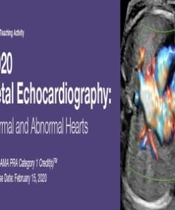 2020 Fetal Echocardiography Normal and Abnormal Hearts (CME VIDEOS)