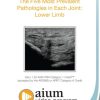 AIUM MSK Ultrasound: The Five Most Prevalent Pathologies in Each Joint: Lower Limb (CME VIDEOS)