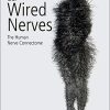 Our Wired Nerves: The Human Nerve Connectome (PDF)