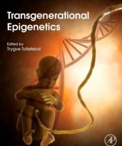 Transgenerational Epigenetics (PDF)