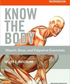 Workbook for Know the Body: Muscle, Bone, and Palpation Essentials