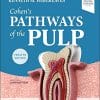 Cohen’s Pathways of the Pulp, 12th Edition (Videos)