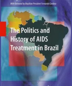 The Politics and History of AIDS Treatment in Brazil (EPUB)