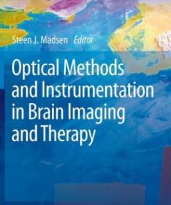 Optical Methods and Instrumentation in Brain Imaging and Therapy (EPUB)