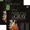 Anatomia del Gray Le basi anatomiche per la pratica clinica, 42a edizione (Vol. 1-2) (EPUB)