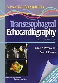 A Practical Approach to Transesophageal Echocardiography, 3rd Edition