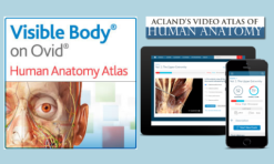 anatomy resources blogpost