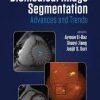 Biomedical Image Segmentation: Advances and Trends