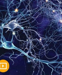 Neurology for Non-Neurologists 2022 (CME VIDEOS)