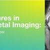 2019 Classic Lectures in Musculoskeletal Imaging: What You Need to Know (CME Videos)