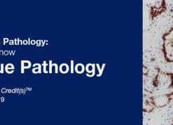 2019 Classic Lectures in Pathology: What You Need to Know: Soft Tissue Pathology (CME Videos)