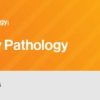 Classic Lectures in Pathology: What You Need to Know: Genitourinary 2022 (CME VIDEOS)