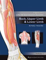 Lippincott’s Concise Illustrated Anatomy: Volume 1: Back, Upper Limb and Lower Limb