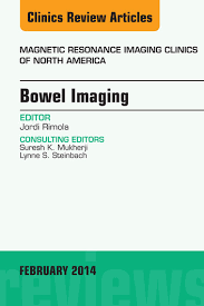 Ebook Bowel Imaginig, An Issue of Magnetic Resonace Imaging Clinics of North America