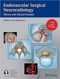 Ebook Endovascular Surgical Neuroradiology: Theory and Clinical Practice