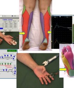 EMG/NCS Online Series: Volume III Sensory Nerve Conduction Studies (2nd Edition) (Videos)