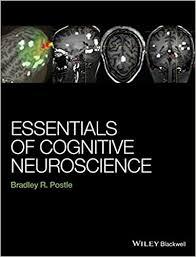 Essentials of Cognitive Neuroscience 1st Edition