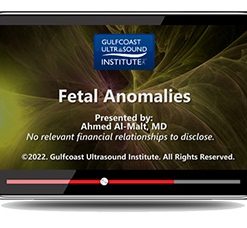 GCUS Fetal Anomalies 2022 (VIDEOS)