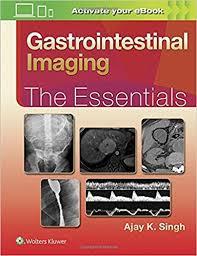 Gastrointestinal Imaging: The Essentials (Essentials series) First Edition