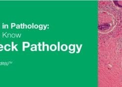 Classic Lectures in Pathology: What You Need to Know: Head & Neck Pathology 2019 (CME VIDEOS)