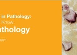 Classic Lectures in Pathology: What You Need to Know: Hematopathology 2019 (CME VIDEOS)