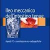 Ileo meccanico dell’intestino tenue: Aspetti TC e correlazioni eco-radiografiche