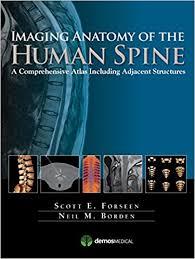 Imaging Anatomy of the Human Spine : A Comprehensive Atlas Including Adjacent Structures