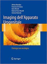 Imaging dell’Apparato Urogenitale: Patologia non oncologica (Italian Edition)