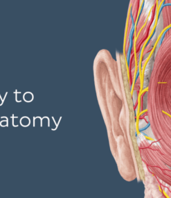 KenHub Anatomy and Histology 2019 (Videos)