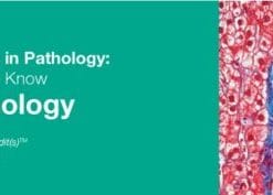 Classic Lectures in Pathology: What You Need to Know: Liver Pathology 2018 (CME VIDEOS)