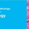 Classic Lectures in Pathology: What You Need to Know: Lung Pathology 2018 (CME VIDEOS)