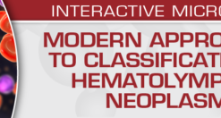 Modern Approaches to Classification of Hematolymphoid Neoplasms 2022