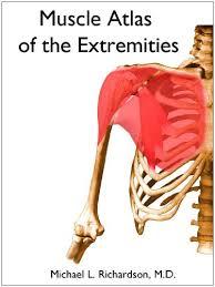 Muscle Atlas of the Extremities