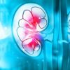 Harvard Intensive Review of Nephrology 2021 (CME VIDEOS)