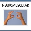 Neuromuscular (Rehabilitation Medicine Quick Reference)